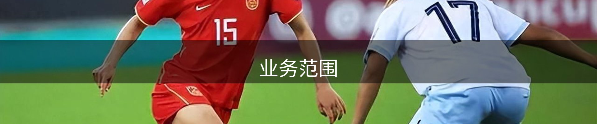 业务范围