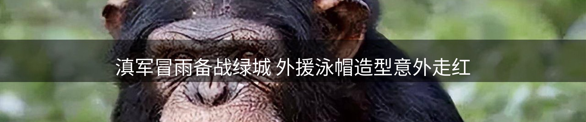 热点集萃